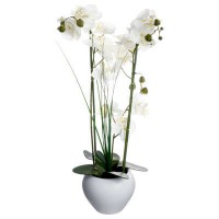 Dekor. cvet-orhideja u beloj keram. saksiji Atmosphera C. Dinterieur