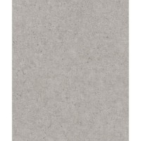 Zidna tapeta Concrete 10.05x0.53 m val2025 siva/boja srebra Rasch